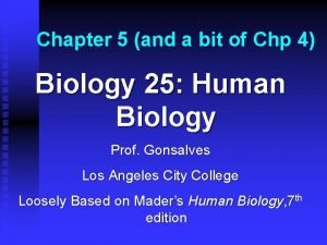 Mader human biology 