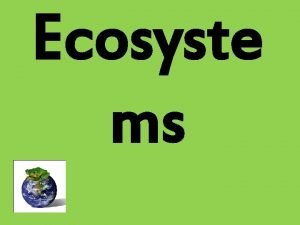 What is a ecosyste