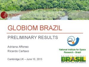 GLOBIOM BRAZIL PRELIMINARY RESULTS Adriana Affonso Ricardo Cartaxo