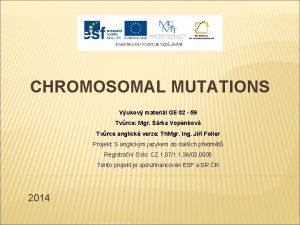 CHROMOSOMAL MUTATIONS Vukov materil GE 02 59 Tvrce