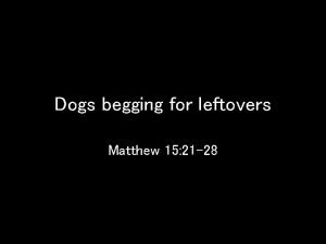 Dogs begging for leftovers Matthew 15 21 28