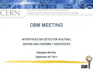 DBM MEETING INTERFACES ON DETECTOR ROUTING DESIGN AND