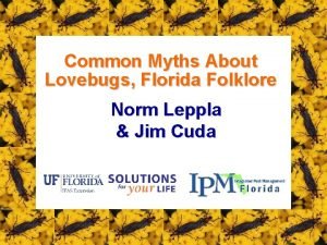 Common Myths About Lovebugs Florida Folklore Norm Leppla