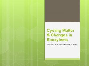 Cycling Matter Changes in Ecosytems Warden Ave PS