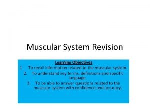 Muscular system learning objectives