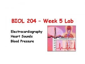 BIOL 204 Week 5 Lab Electrocardiography Heart Sounds