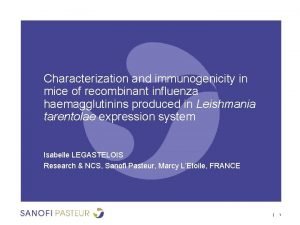 Characterization and immunogenicity in mice of recombinant influenza