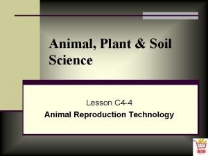 Animal Plant Soil Science Lesson C 4 4