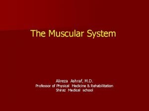 The Muscular System Alireza Ashraf M D Professor