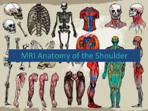Shoulder mri anatomy