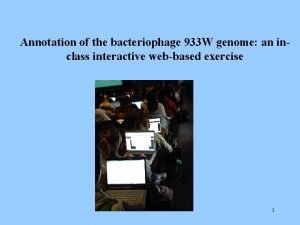 Bacteriophage annotation