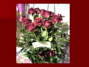 Season of Roses in Magnapoets vol 3 jan