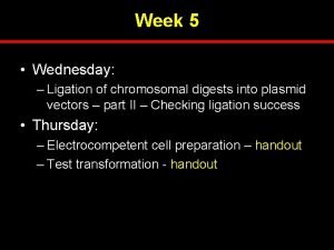 Week 5 Wednesday Ligation of chromosomal digests into