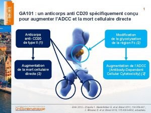 GA 101 un anticorps anti CD 20 spcifiquement