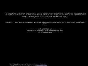 Transgenic expression of proximal tubule peroxisome proliferatoractivated receptor