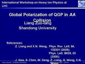 International Workshop on Heavy Ion Physics at LHC
