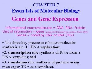 Codon anticodon pairing