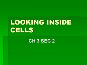 Looking inside cells answer key