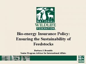 Bioenergy Insurance Policy Ensuring the Sustainability of Feedstocks