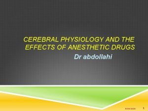 CEREBRAL PHYSIOLOGY AND THE EFFECTS OF ANESTHETIC DRUGS