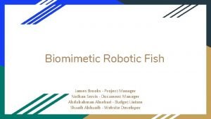 Biomimetic Robotic Fish James Brooks Project Manager Nathan