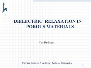 DIELECTRIC RELAXATION IN POROUS MATERIALS Yuri Feldman Tutorial