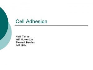 Cell Adhesion Matt Tanke Will Howerton Stewart Bewley