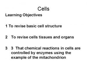 Cells Learning Objectives 1 To revise basic cell
