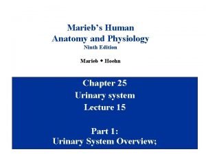 Anatomy and physiology ninth edition