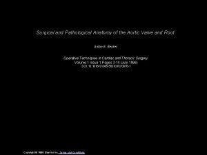 Surgical and Pathological Anatomy of the Aortic Valve