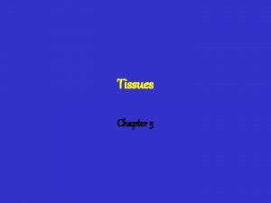 Tissues Chapter 5 Intro Tissues are groups of