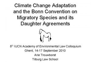 Climate Change Adaptation and the Bonn Convention on
