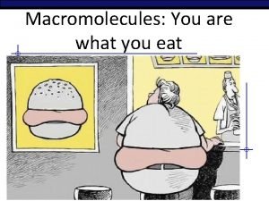 Macromolecules You are what you eat Regents Biology