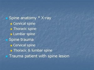 Upper motor neuron