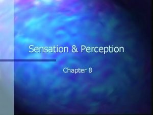 Sensation Perception Chapter 8 Sensation n The process