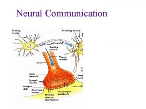 Neural Communication The Nerve Impulse Neural Communication Otto