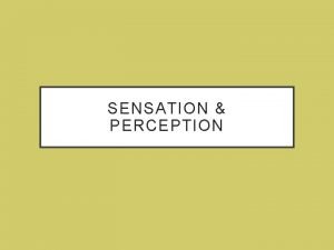 SENSATION PERCEPTION OUTLINE SENSATION AND PERCEPTION 1 Define