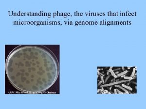 Understanding phage the viruses that infect microorganisms via