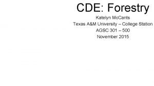 CDE Forestry Katelyn Mc Cants Texas AM University