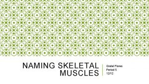 NAMING SKELETAL MUSCLES Gretel Flores Period 5 1212