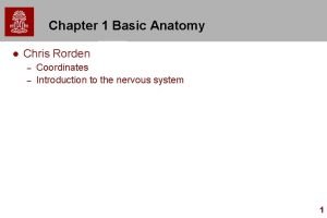 Chapter 1 Basic Anatomy l Chris Rorden Coordinates