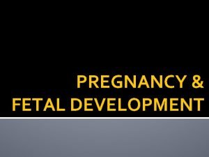 PREGNANCY FETAL DEVELOPMENT Sperm are made in the