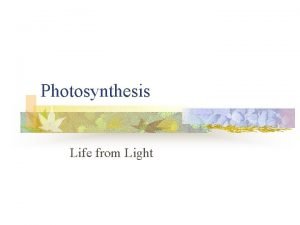 Photosynthesis Life from Light Photosynthesis Overview n n