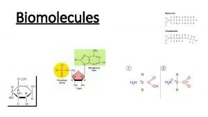 Biomolecules Texas Expected Knowledge and Skills TEKS 9