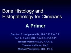 Bone Histology and Histopathology for Clinicians A Primer