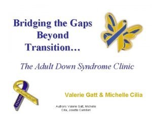 Bridging the Gaps Beyond Transition The Adult Down