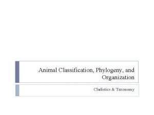 Animal Classification Phylogeny and Organization Cladistics Taxonomy Animal