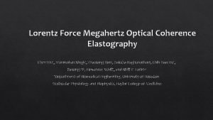 Lorentz Force Megahertz Optical Coherence Elastography Chen Wu