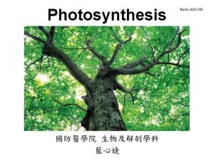 Two stages of photosynthesis
