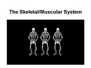 The SkeletalMuscular System Meet Charlie Why do we